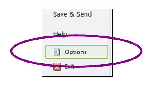 Microsoft Project Setup 101