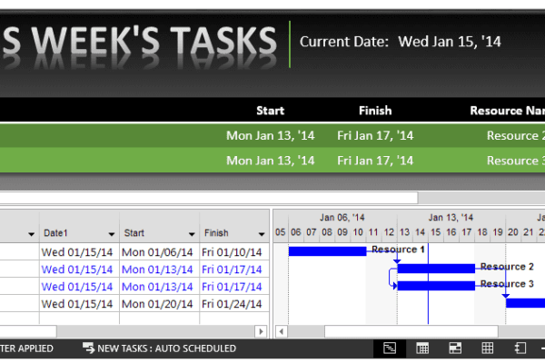 Creating a Custom Report in Project 2013: This Week’s Tasks
