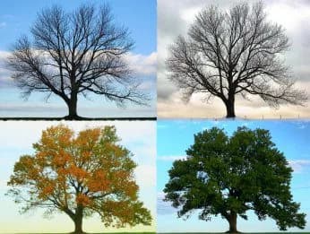 Increase Your Project&#8217;s Impact with Change Management, Part 2