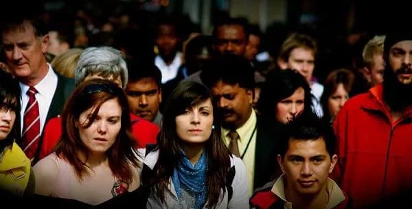 Projects in the Fast Lane: Getting High Performance from a Cross-Cultural Team