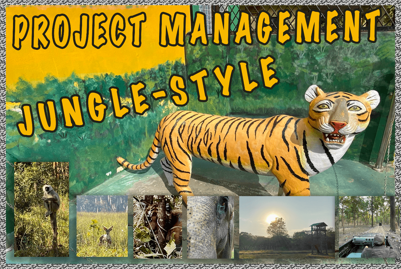 Project Management, Jungle-Style