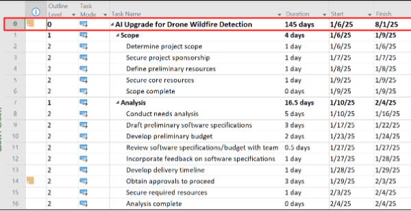 Display the Project Summary Task
