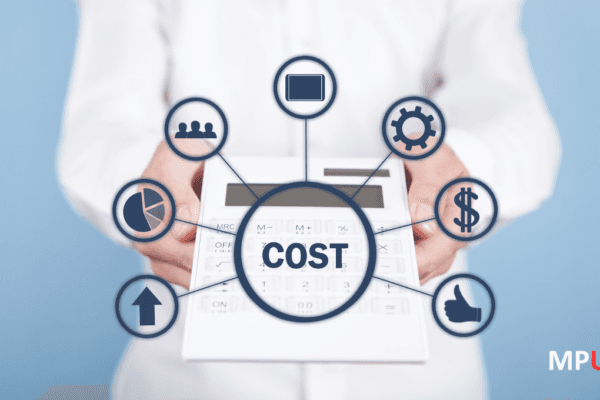 Engineering Cost Efficiency: Strategic Approaches for Project Value Optimization