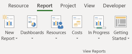 ms project reporting