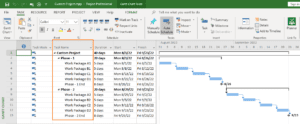 Planned and Actual Percent Complete in MS Project