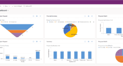 Another Common MS Project Misconception: “P4W Can’t Be Customized”
