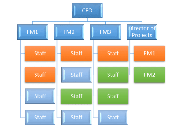 What Are the Different Project Organizational Structures?