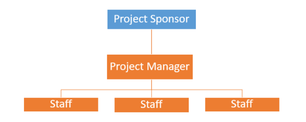 Back to Basics: Project Manager vs. Project Sponsor - Master Projects ...