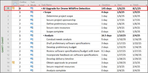 Display the Project Summary Task