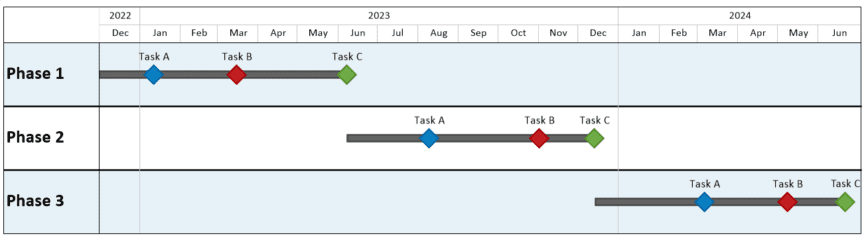 Introduction to OnePager Pro for Microsoft Project