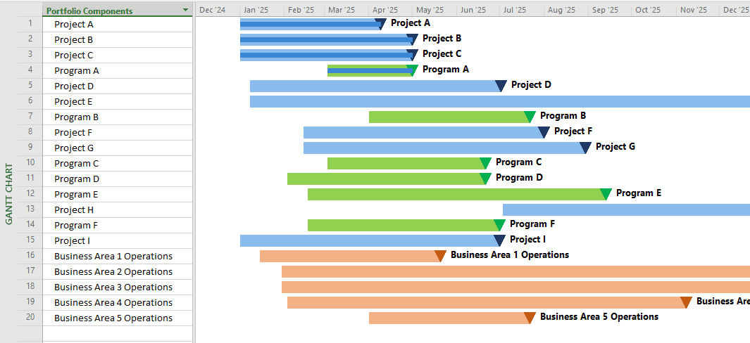 Building A Practical Portfolio Roadmap with Microsoft Project