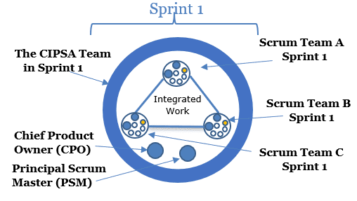 The CIPSA Team diagram.