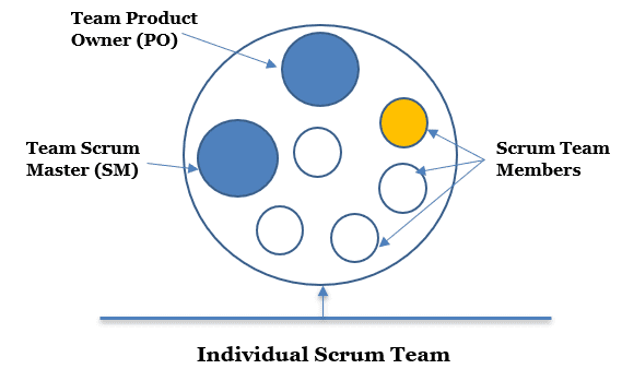 Fig. 2 - The Individual Scrum Team