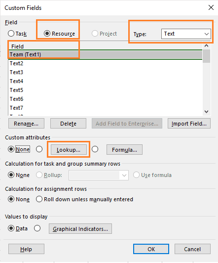 Fig. 4 - Team Custom Field