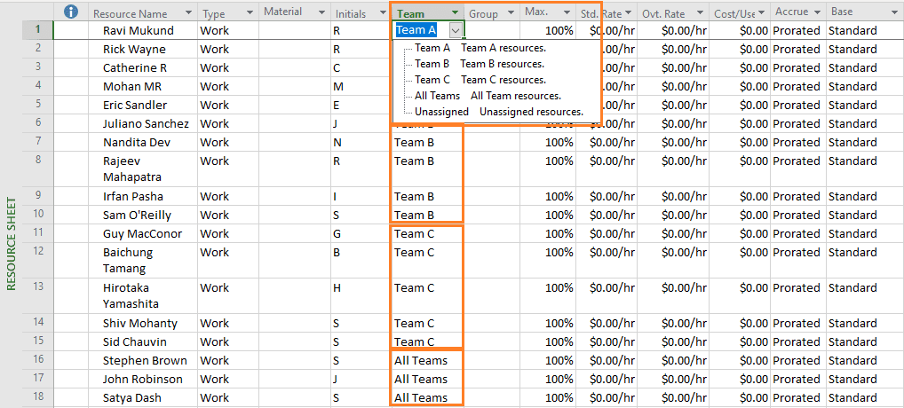 Fig. 6 - Team Field in Resource Sheet